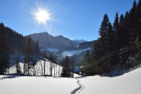 Apartment Obergruberhof Schladming